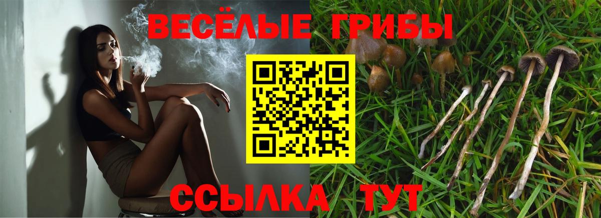 Галлюциногенные грибы мухоморы  Псилоцибиновые грибы мицелий  Курчатов  Вход с VPN 